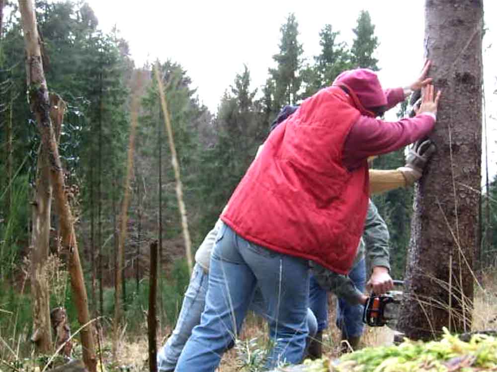 construction de la fuste Vosges bleu vert 3