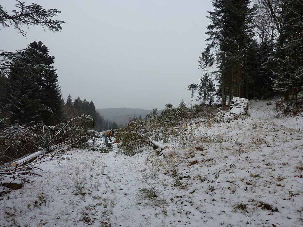 construction de la fuste Vosges bleu vert